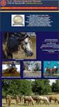 Mobile Screenshot of lawatersquarterhorses.com